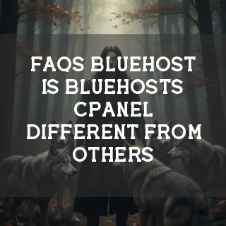 Bluehost FAQs Banner