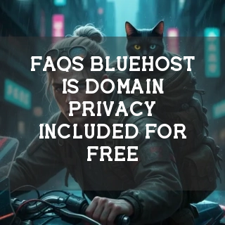 Bluehost FAQs Banner